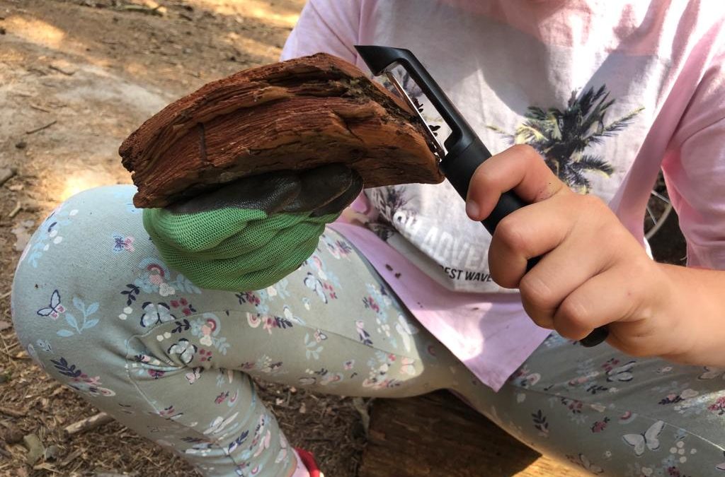 02. Mai 2026 – Einladung zum Familien-Wald-Abenteuer – Obertshausen