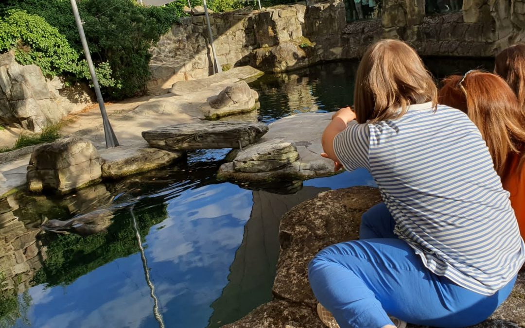 26. Juni 2026 gehen wir zur DreamNight im Zoo Frankfurt