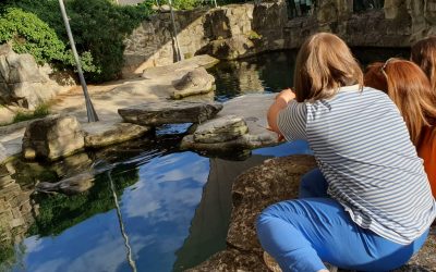 26. Juni 2026 gehen wir zur DreamNight im Zoo Frankfurt