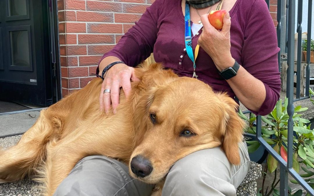 27. September 2026 – Leo & Natascha: Dein sanfter Start in die Hundewelt